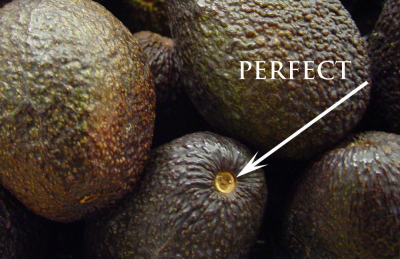 eetrijpe avocado pit