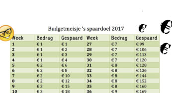 Budgetmeisje’s spaarschema voor 2017