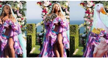 De leukste inhakers op Beyonce’s tweelingfoto