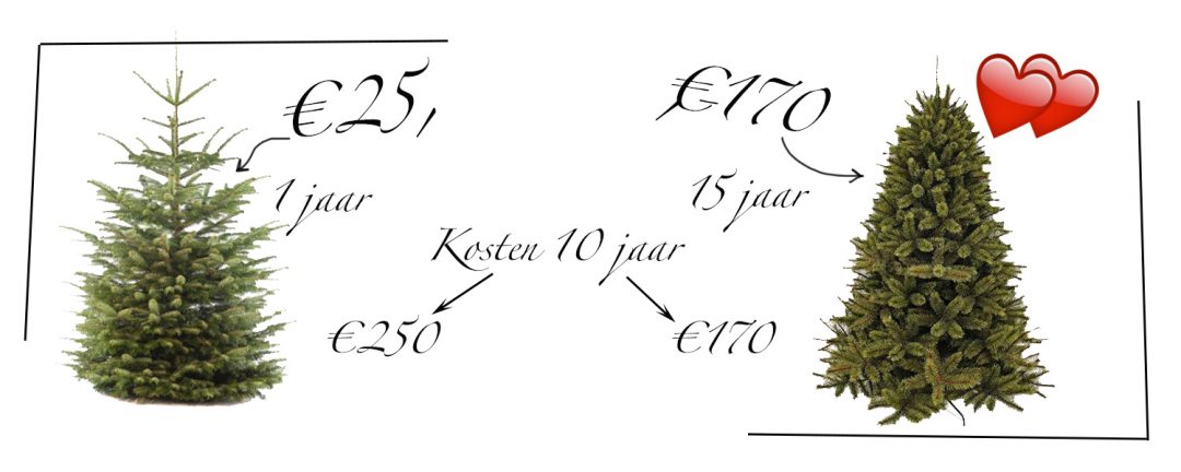 Dilemma Een Echte Of Neppe Kerstboom Aanschaffen Moneymom Nl